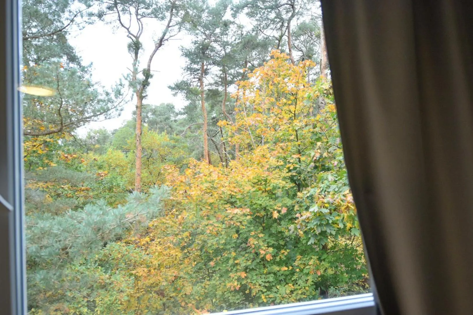Hotel Im Natur Mit Eigene Kueche Bad Balkon Parkplatz Netflix Nuremberg 0*,